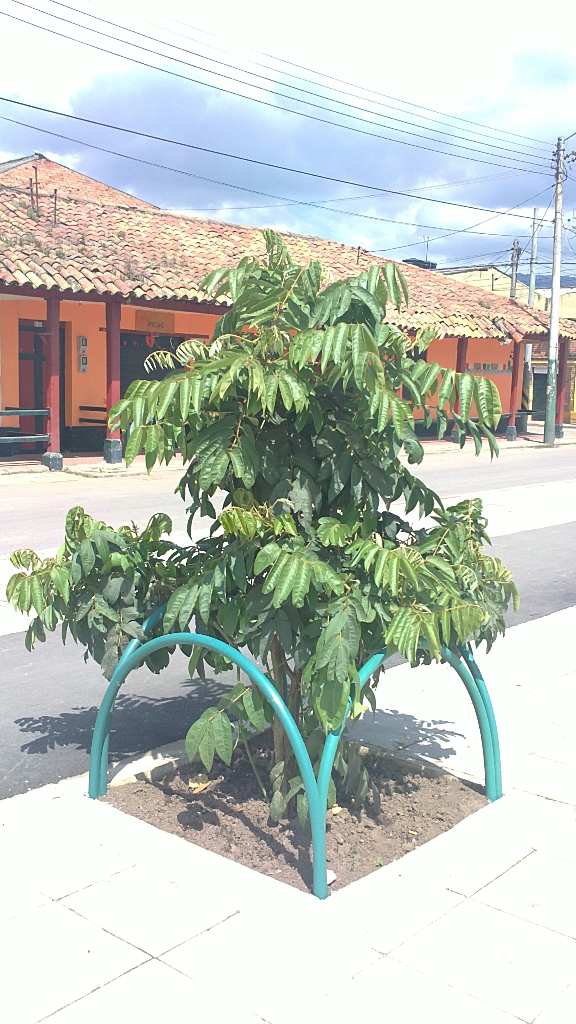 jardinería y paisajismo diseño de jardines jardinería macetas jardinería en casa jardinería practicas utilísimas jardinería básica jardinería paisajismo jardinería práctica siembra de jardin 04 jardinería y paisajismo diseño de jardines jardinería macetas jardinería en casa jardinería practicas utilísimas jardinería básica jardinería paisajismo jardinería práctica siembra de jardin 04